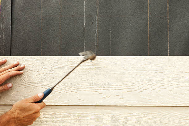 Best Siding for Commercial Buildings  in Ixonia, WI